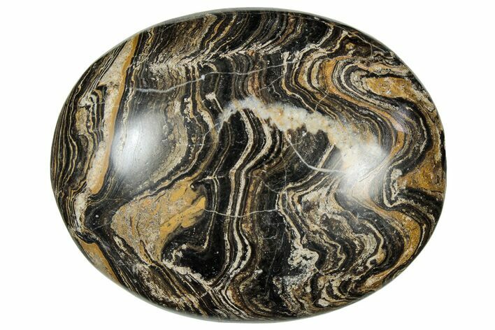 Polished Stromatolite (Greysonia) Pebble - Bolivia #302533